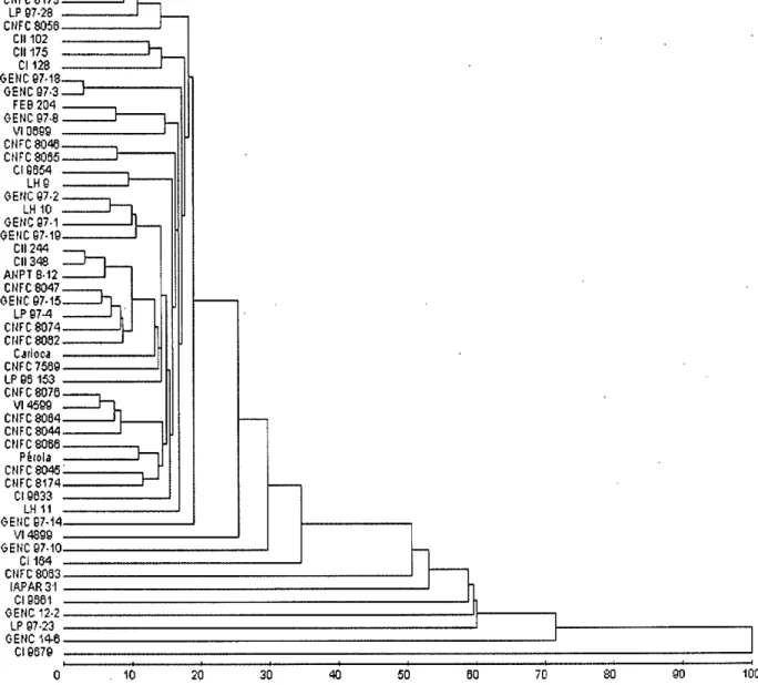 Figura 1. Dendrograma representativo da dissimilaridade genética entre 53 genótipos de feijão carioca, obtido pela  técnica do vizinho mais próximo, utilizando a distância generalizada de mahalanibis como medida de  dissimilaridade