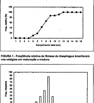 FIGURA 1 • Fropliencla relativo do fêmeas do  Geophegus brasillonals  nos estágios orn maturação o maduro 