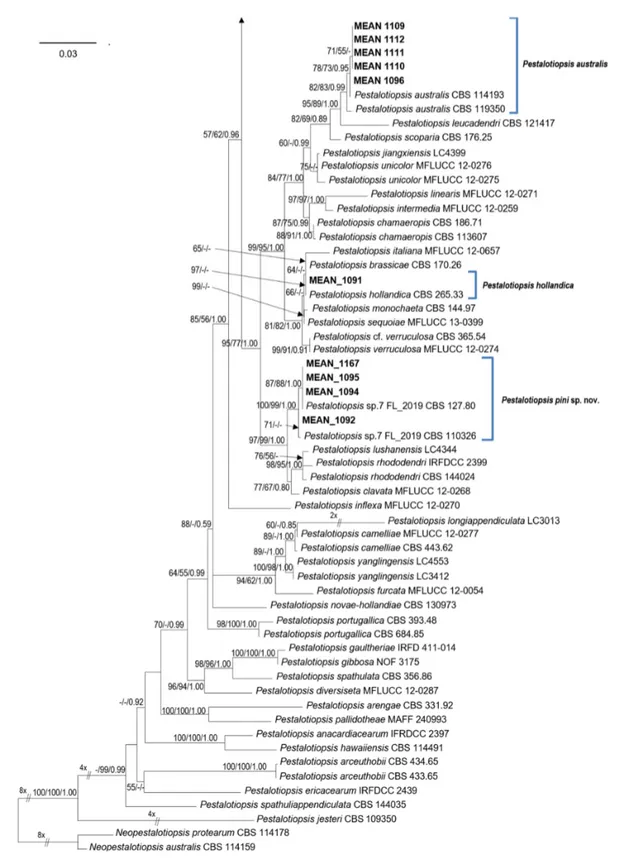 Figure 1. Cont. 