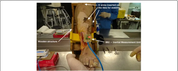 Fig. 2 Description of the device components. Image of the experimental setting on a specimen
