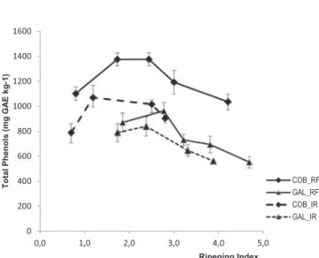 Fig. 1. Evolution of total phenols in early ripening stages for ‘Galega Vulgar’ and