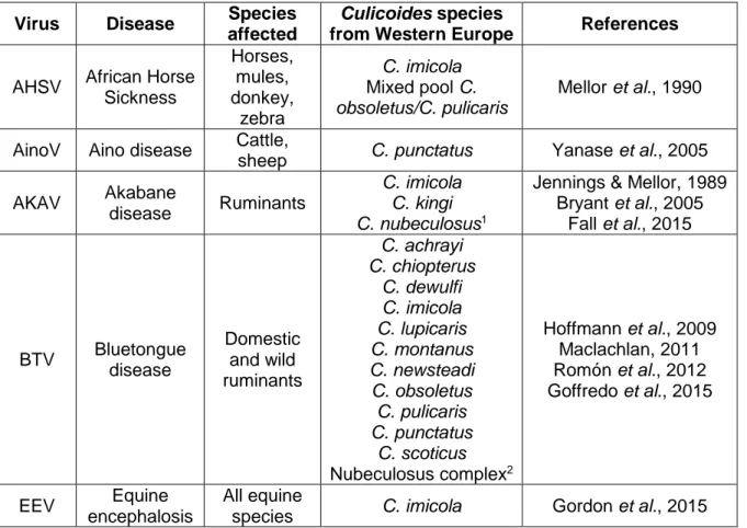 Table 1.1. – Viruses transmitted by Culicoides species present in Western Europe.  