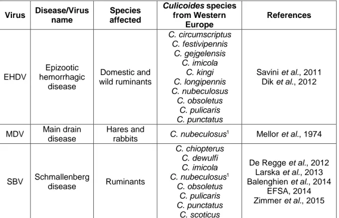 Table  1.1.  –  Viruses  transmitted  by  Culicoides  species  present  in  Western  Europe  (Continuation).