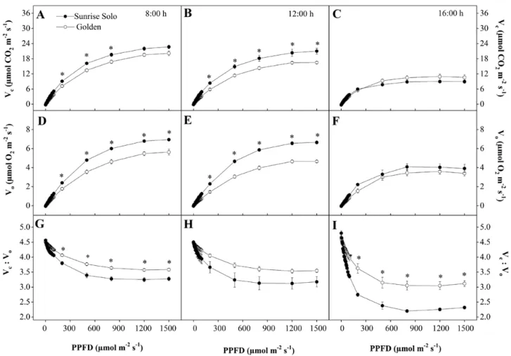 Figure 5.  RuBisCO carboxylation (V c —A, B and C) and oxygenation (V o —D, E and F) rates and V c :V o  ratio (G, H and I) of two Carica papaya  genotypes (Golden and Sunrise Solo) at 0800 (A, B and C), 1200 (D, E and F) and 1600 h (G, H and I)