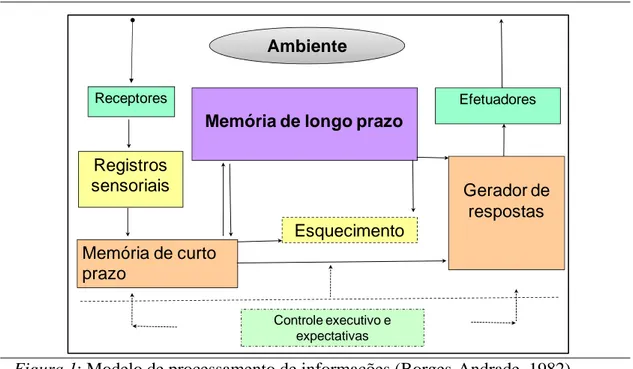 Figura 1: Modelo de processamento de informações (Borges-Andrade, 1982) 