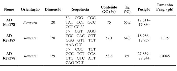 Tabela 2.1- Primers utilizados no PCR. A tabela contém a indicação da orientação, dimensão, sequência, conteúdo em GC  (%), temperatura de melting (Tm), posição no genoma de adenovírus humano tipo 5 (GenBank KX868466.2) e tamanho dos  fragmentos amplificad
