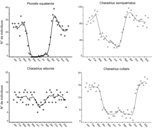 Figura 2. Variação sazonal do número de indivíduos Charadriidae durante forrageio em  área intermareal na costa oeste da Baía de Todos os Santos, Brasil