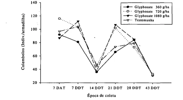 FIGURA 4 — Flutuação populacional de colêmbolos em campo nativo, dias antes (DAT) e dias depois  (DDT) da aplicação de glyphosate e 2,4-D 