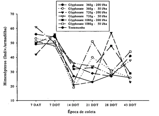 FIGURA 7 — Flutuação populacional de himenópteros em campo nativo, dias antes (DAT) e dias depois  (DDT) da aplicação de glyphosate para os volumes de calda de 50 e 200 1/ha 