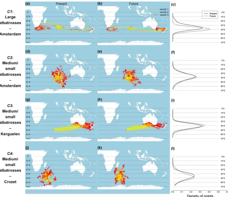 Fig. A1) patterns are: some simulated Amsterdam albatrosses  tend to migrate further east towards New Zealand; no  simu-lated albatross from Kerguelen migrate west towards  south-ern Africa; some simulated small-medium size albatrosses  breeding on Crozet 