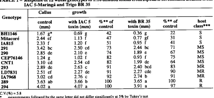 TABLE 1 - Response of 12 wheat genotypes to 1:16 dilution toxins from  Bipolaris sorokiniana  isolated from  IAC 5-Maringá and Trigo BR 35 