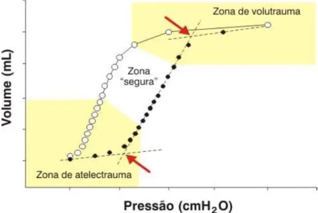 Figura  2.3  -  A  relação  entre  volume  e  pressão  estática  do  sistema  respiratório  em  um  modelo  experimental, indicando as zonas  de lesão pulmonar induzida pelo ventilador e a zona teoricamente  segura