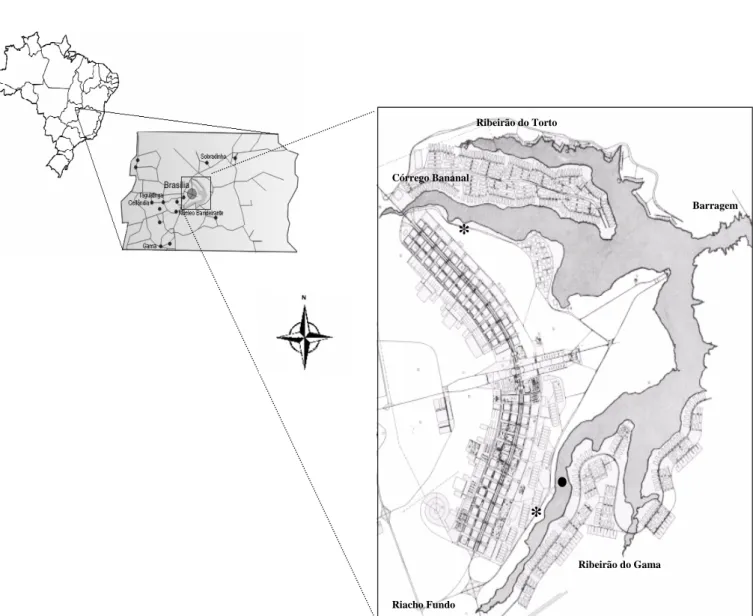 Figura 1 - Localização geográfica do Lago Paranoá (Brasília-DF) com seus principais  tributários, estações de tratamento de esgoto (*), barragem e ponto de coleta (    )