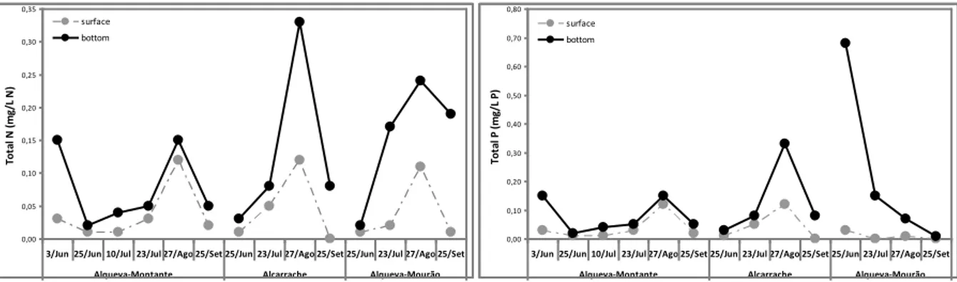 Fig. 9 – Multidimensional scaling (MDS) ordination plot for phytoplankton assemblages