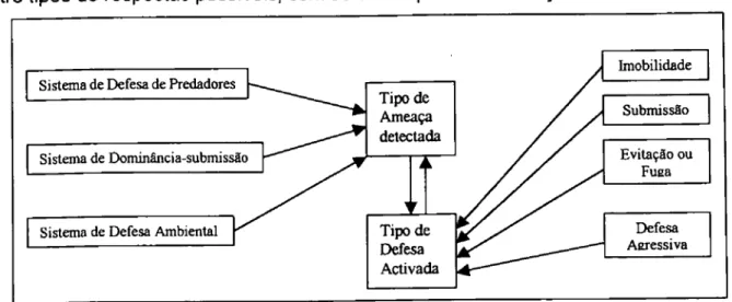 Figura 2.1. Sistema de defesa (Adaptado de Baptista, 2000) 