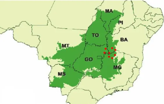 Figura  1:  Ocupação  do  Cerrado  (verde)  e  distribuição  de  Butia  capitata  (pontos  em  vermelho)  no  bioma (Lorenzi et al