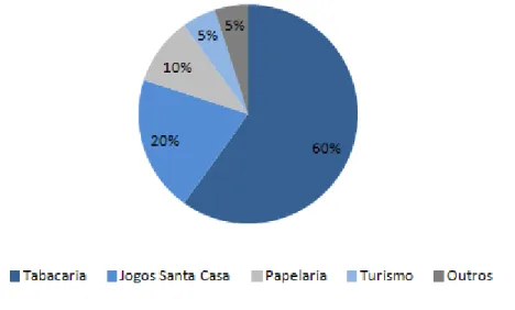 Figura 4 – Percentagem de vendas por segmento de produto 