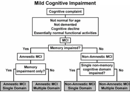 Figure 2.3  Decision process for diagnosing subtypes of MCI 