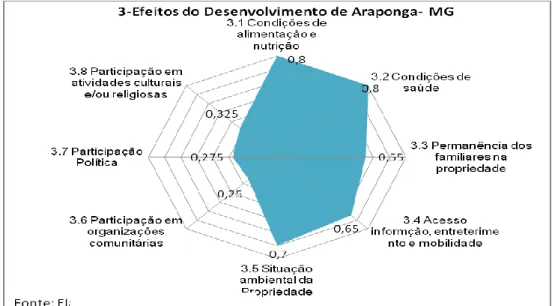 Figura 08. Efeitos do desenvolvimento – Araponga, MG  Fonte: Estimativa com dados primários 