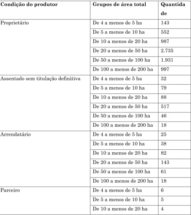 Tabela  4  –  Números  de  estabelecimentos  agropecuários,  condição  do  produtor  e  grupos  de  área  total  que  obtiveram  financiamento pelo PRONAF em 2006 