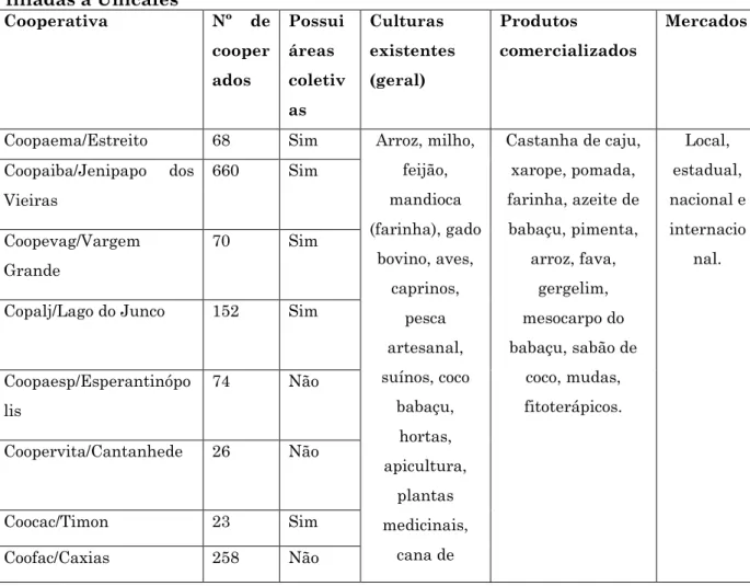 Tabela 5 – Diagnóstico situacional das cooperativas de produção  filiadas à Unicafes   Cooperativa  Nº  de  cooper ados  Possui áreas coletiv as  Culturas  existentes (geral)  Produtos  comercializados  Mercados 