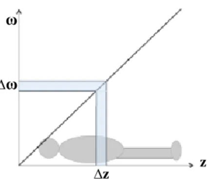 Figure 2.3: The principle of slice selection. By applying a RF pulse with a finite bandwidth (∆ω), only the spins in a  slice thickness (∆