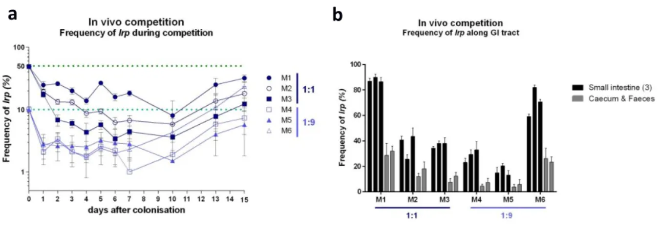Figure  3.4.  In  vivo  competition  between  lrp  mutant  and  ancestral.  Panel  a)  Frequency  of  lrp  mutants  in  competition between MFP18-YFP (ΔlrpΔgatZ) and MFP54-CFP (ΔgatZ) at two initial strain ratios (1:1 and 1:9 of MFP18 to  MFP21) in germ-fr