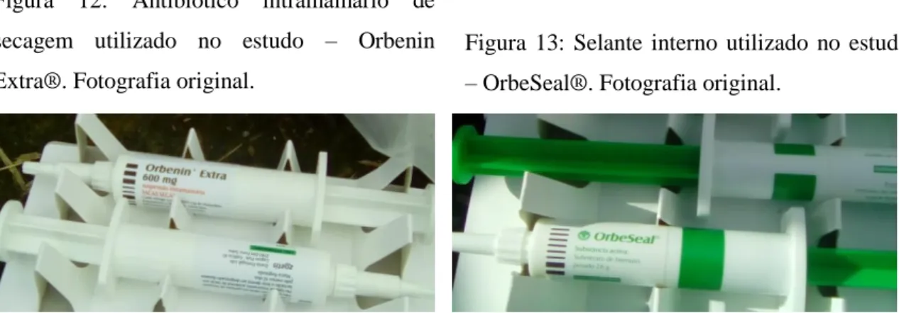 Figura  12:  Antibiótico  intramamário  de  secagem  utilizado  no  estudo  –  Orbenin  Extra®