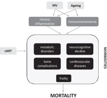 Figure 1.2 Schematic visualization of HIV-infection, ART and ageing outcomes in the human physiology and metabolism  (Nasi et al., 2017); cART, combination antiretroviral therapy