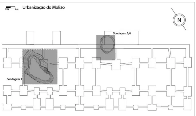 Fig. 2. Plan of the negative structures identified during the archeological carried out in 2005/2006.
