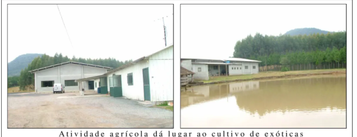 Figura 1 : Instalações de uma facção sediada em propriedade agrícola  Fonte: Pesquisa de campo 