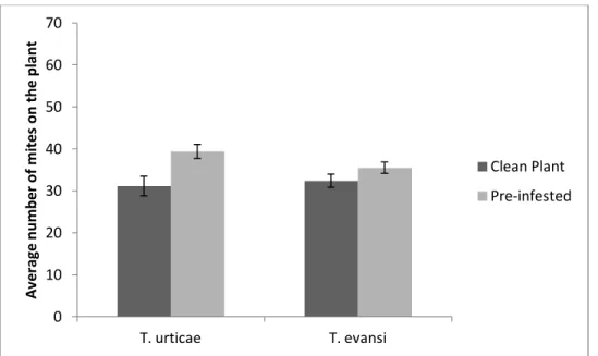 Figure 5. Comparison of the total number of mites recaptured after 24 hours. Average number  of mites on the plant (sum of the number of mites on the 2nd leaf and the number of mites on the  4th  leaf)  after  24  hours,  per  treatment:  clean  plant  and