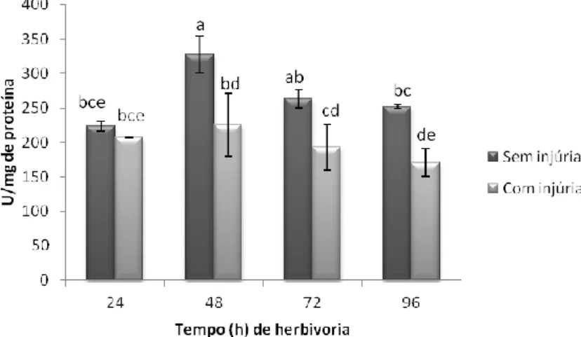 Fig. 10. Atividade temporal da enzima catalase em folhas de soja Silvânia em estágio V3  com e sem injúria de herbivoria do percevejo-marrom
