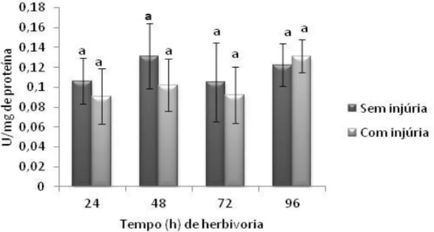 Fig. 15. Atividade temporal da enzima guaiacol peroxidase em folhas de soja IAC-100 em  estágio V3 com e sem injúria de herbivoria do percevejo-marrom