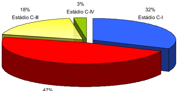 Gráfico 5. Distribuição de 38 pacientes que desenvolveram cardiopatia até 2007                            segundo o estádio de comprometimento cardiaco.