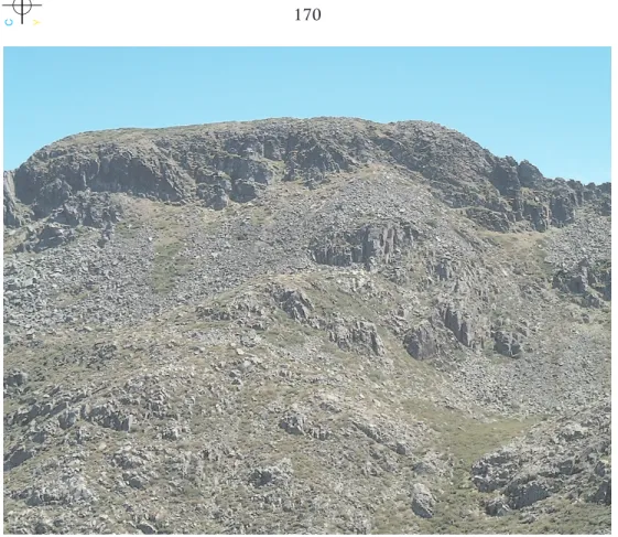 Fig. 5 – Aspecto do sector superior da vertente norte do Cântaro Gordo. Cornija periglaciária, ainda activa – abaixo dela, depósitos de vertente herdados e  actuais