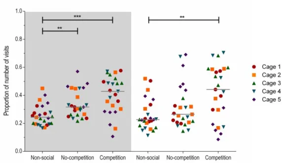 Figure 17 - Proportion of the number of visits in each feeder type in both dark (denoted in grey  background) and light (white background) periods