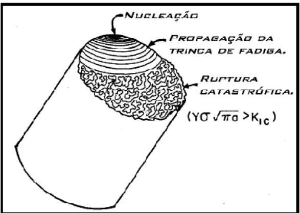 Figura 8 - Representação das superfícies características de uma fratura em fadiga, com distinção  da nucleação, propagação e instabilidade da trinca (MEYERS, 1998)