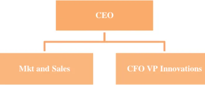 Figure  1 Frisky Foods Organizational Structure 