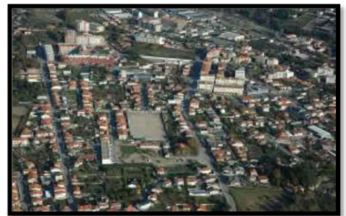 Figura 2 - Brasão de Vila das Aves