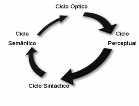Figura 2 – Ciclos de Processamento de Goodman (1994) 
