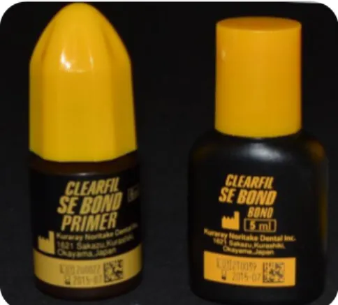 Figure 13: Clearfil SE Bond. 