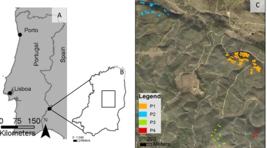 Figure 1. General location of the study area (A), showing the Herdade da Contenda limits (B)  and the four studied areas (P1, P2, P3 and P4) with plots location (C)