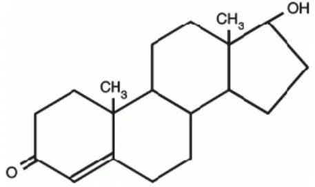 Figura 1 - Estrutura química da testosterona  