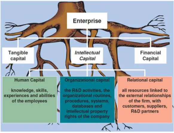 Figure 1: The IC roots of the enterprise 