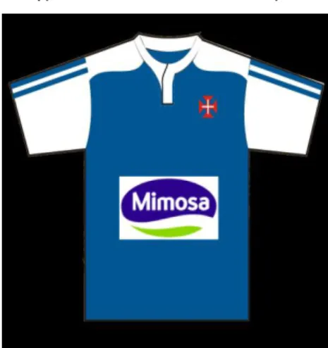 Figure 1 :  Shirt’s Team Example