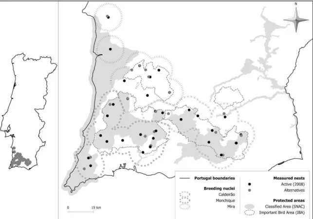 Figure 1. Bonelli’s eagle breeding territories, tree nests studied and classified areas by  the Sistema Nacional de Áreas Classificadas (SNAC) and IBAs in Southern Portugal