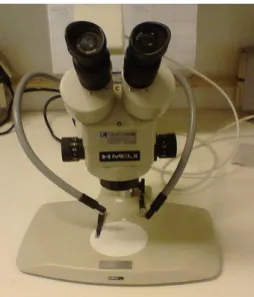 Figure  3.11  Stereomicroscope  (Meiji  Techno EMZ-8TR) 