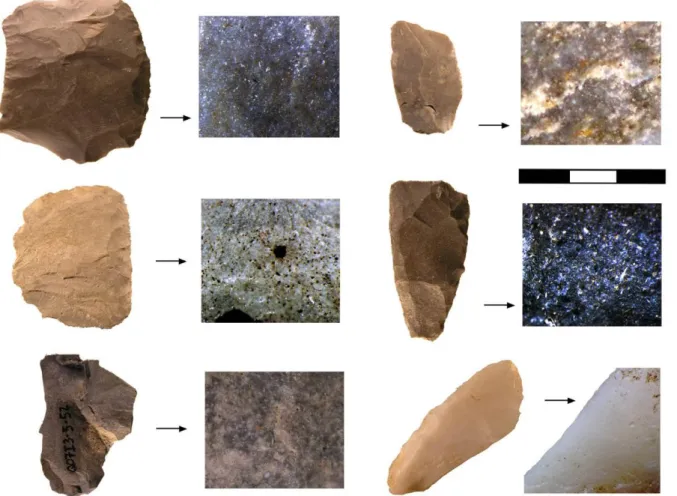 Figure 3. The locally available Domeño-type flint and its variants. 