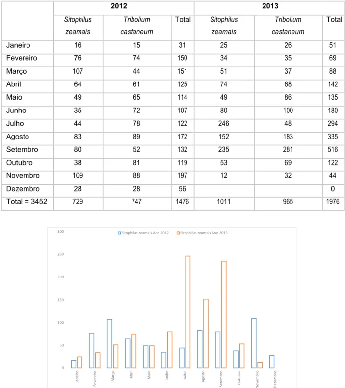 Figura 7 – Total de adultos Sitophilus zeamais capturado por mês durante 2012 e 2013
